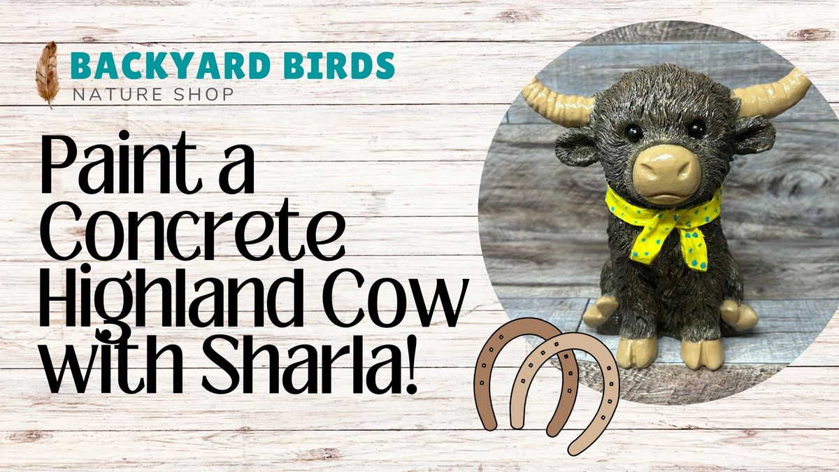 Paint a Concrete Highland Cow with Sharla!