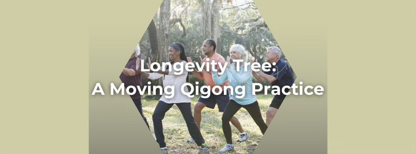 Longevity Tree: A Moving Qigong Practice (1st Class Free)