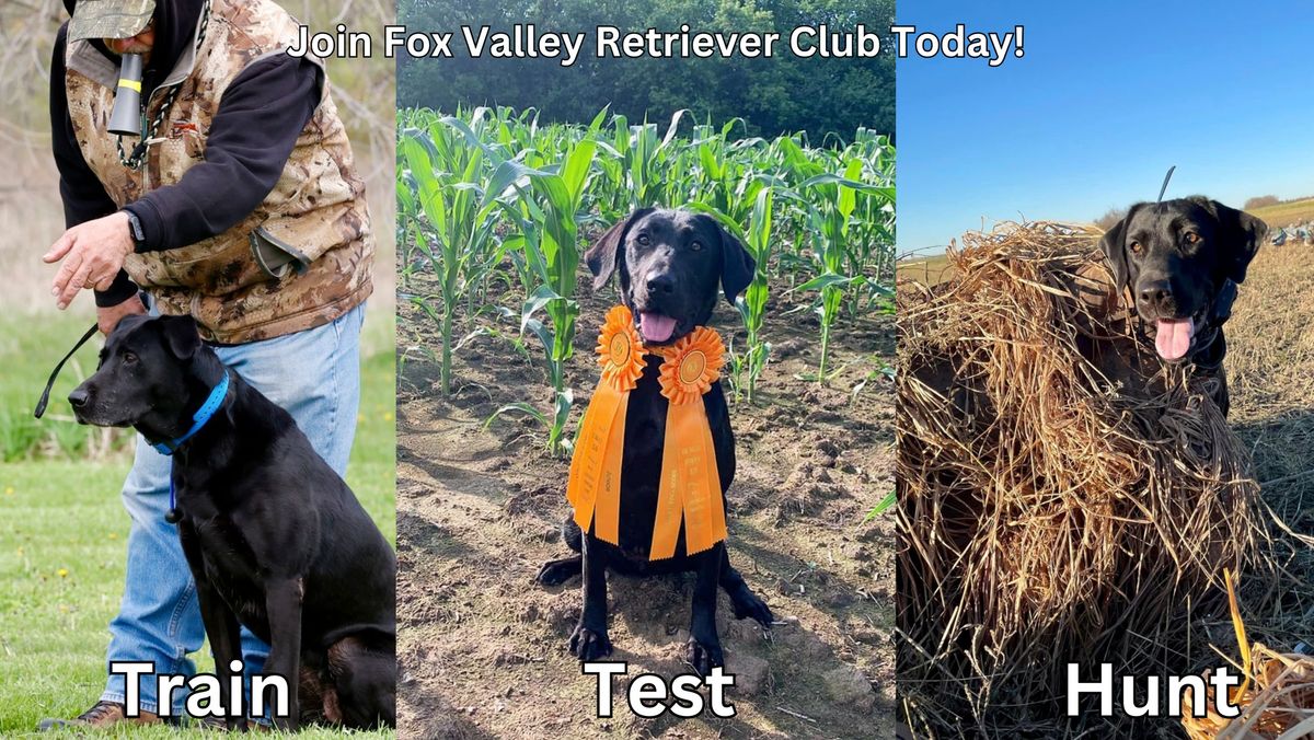 UKC Elite Shed Dog Series shed hunt test hosted by Fox Valley Retriever Club 