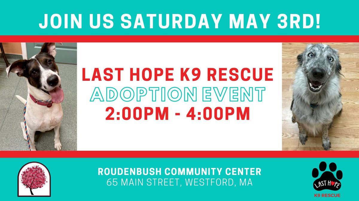 Roudenbush Community Center hosts the LHK9 Adoption Event!