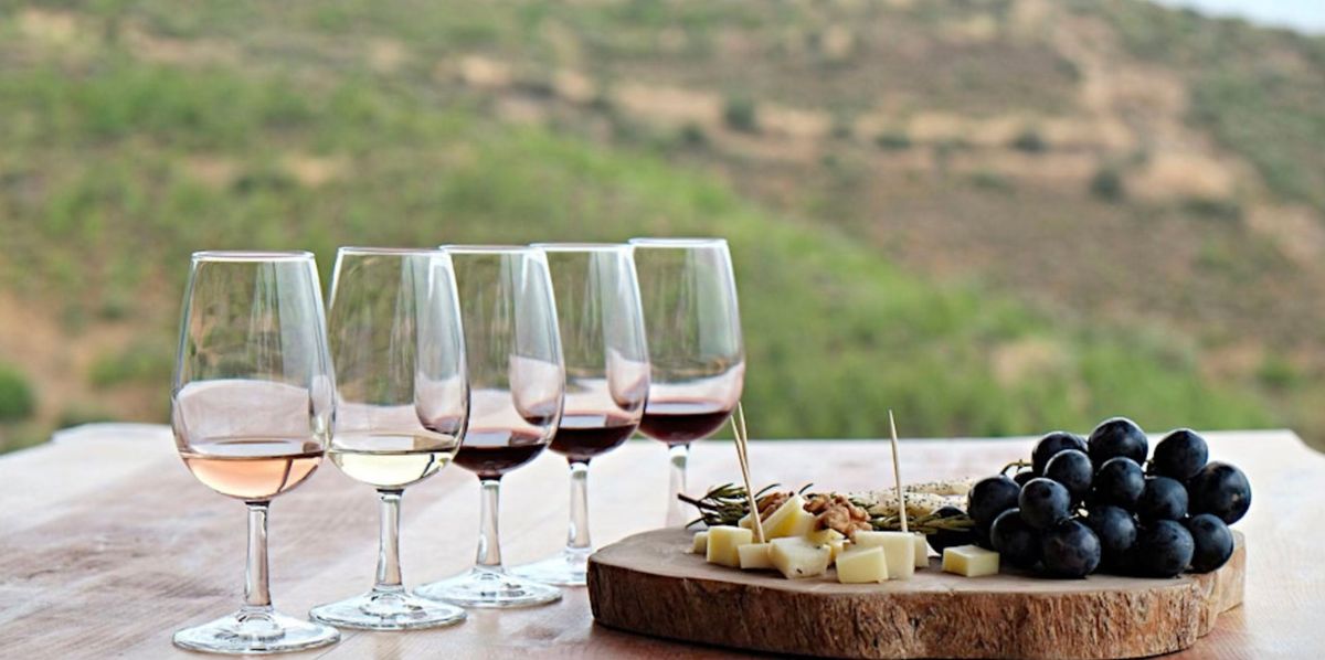 Pl\u00e1tica y Pruebas: Valle de Guadalupe Wine Tasting | $45