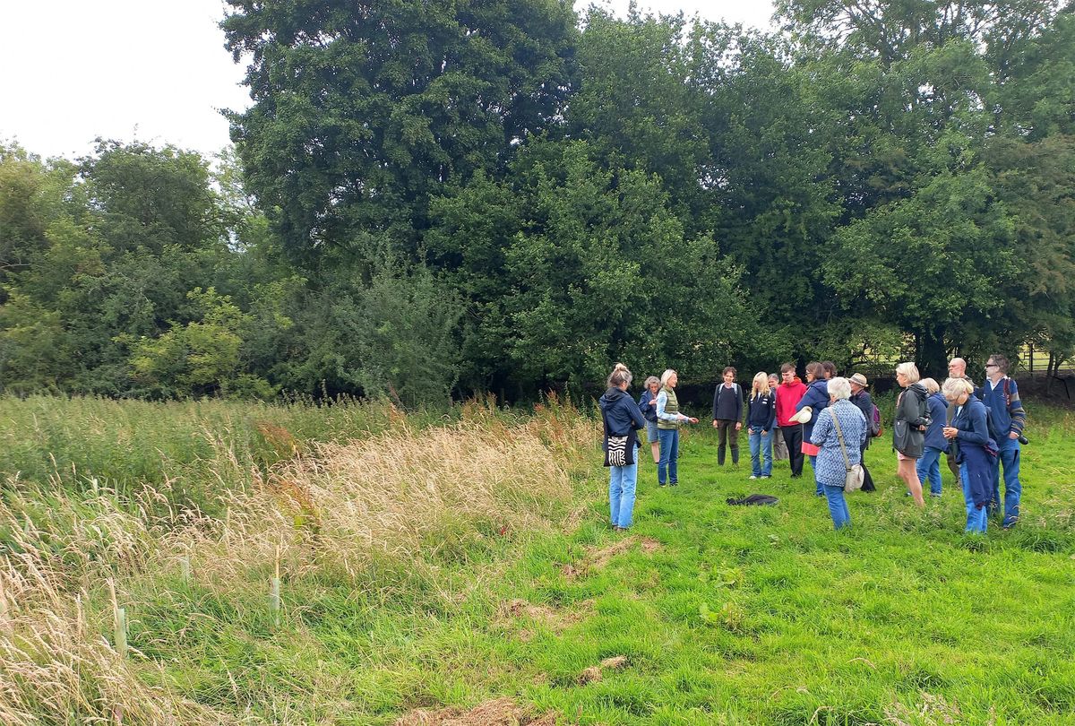 An Upper Thames Branch Guided Walk at Wytham Wood, Oxon.