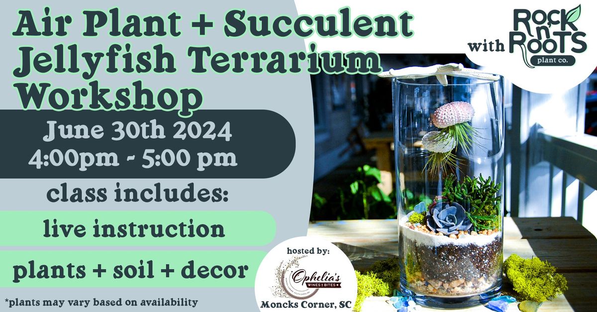 Air Plant + Succulent Jellyfish Terrarium Workshop at Ophelia's Wines & Bites (Moncks Corner, SC)