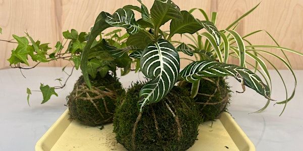 Kokedama Ball Workshop