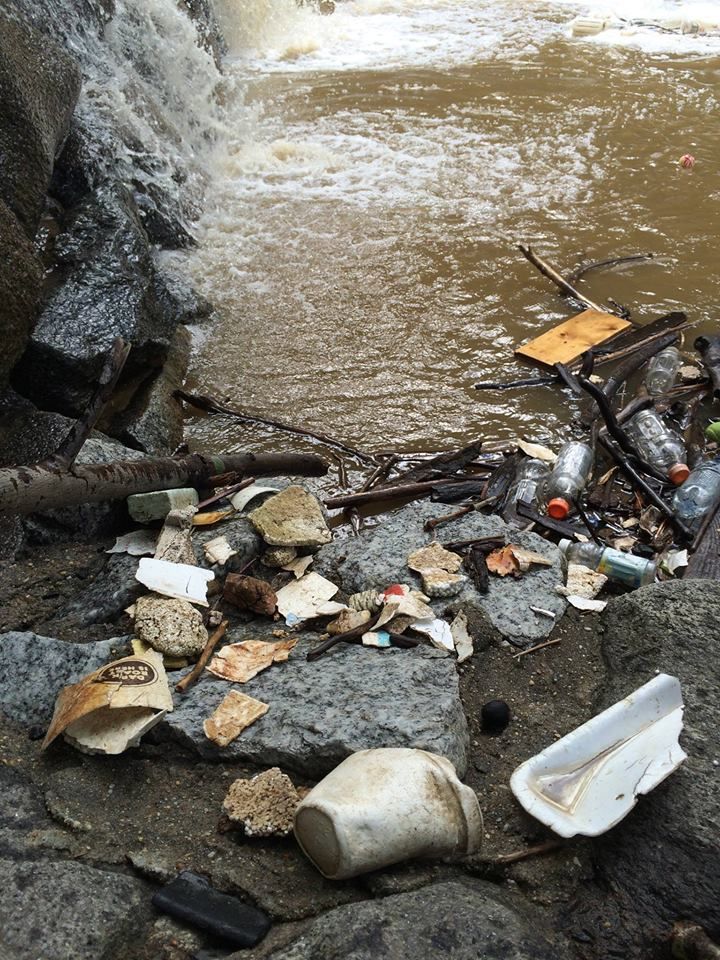 Rock Creek Clean Up