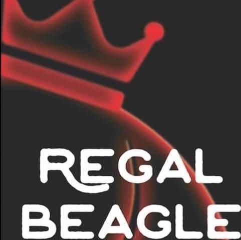 Regal Beagle Live at the Social 