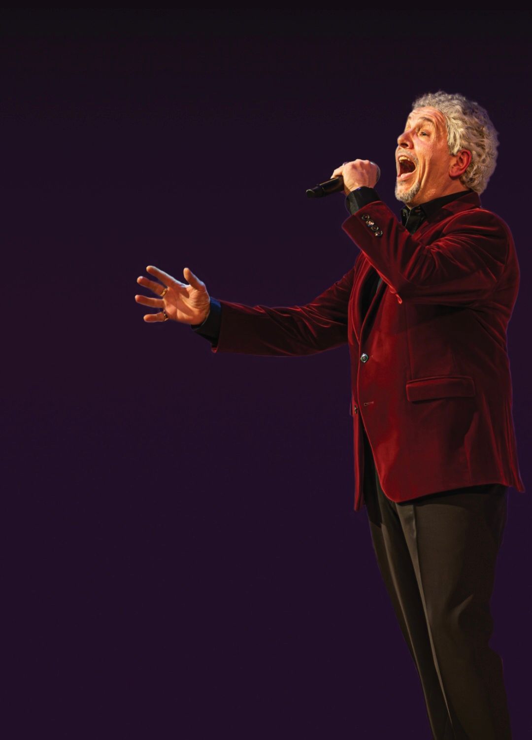 Tom Jones Tribute Night