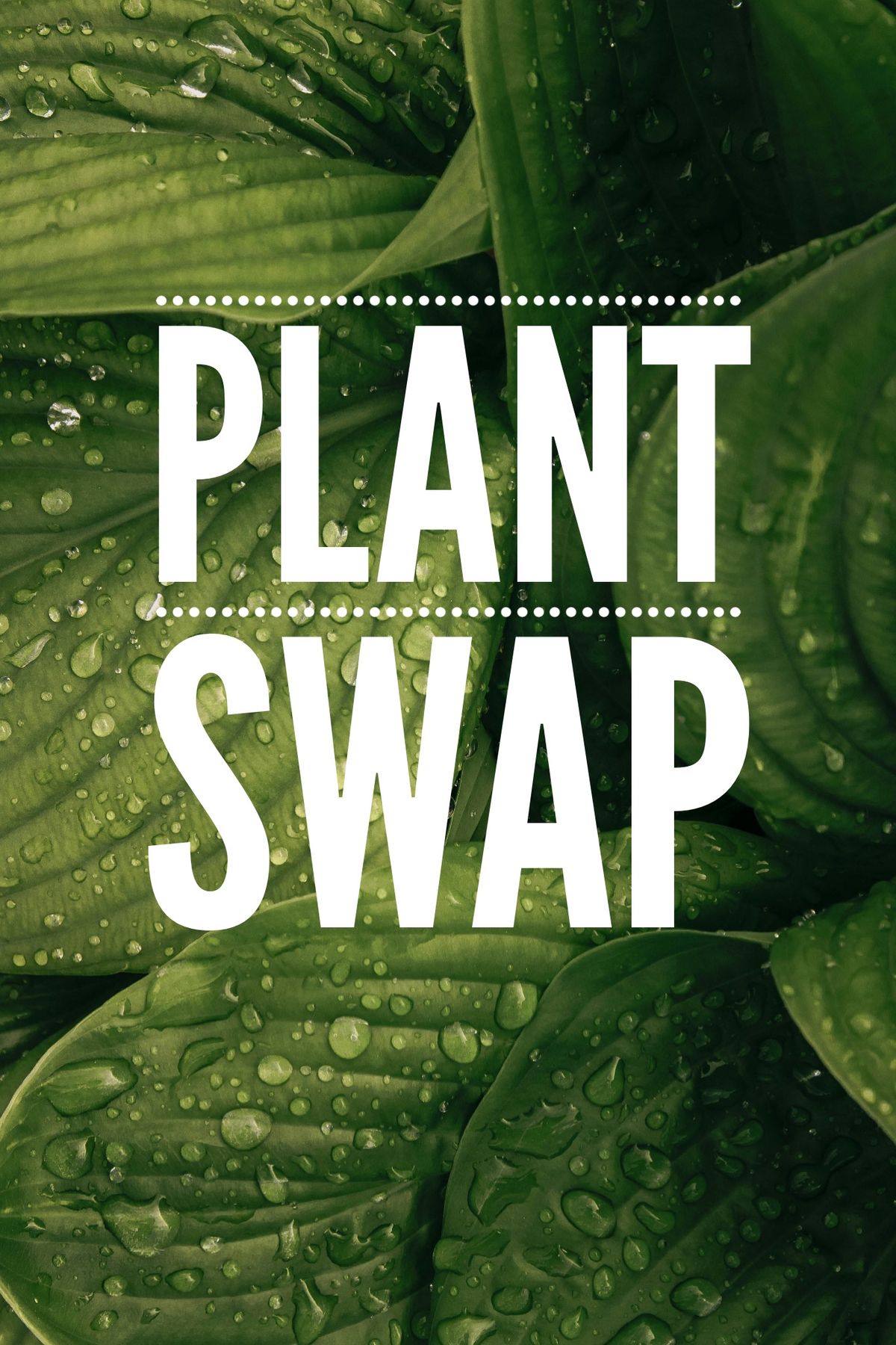 Plant Swap and Talk