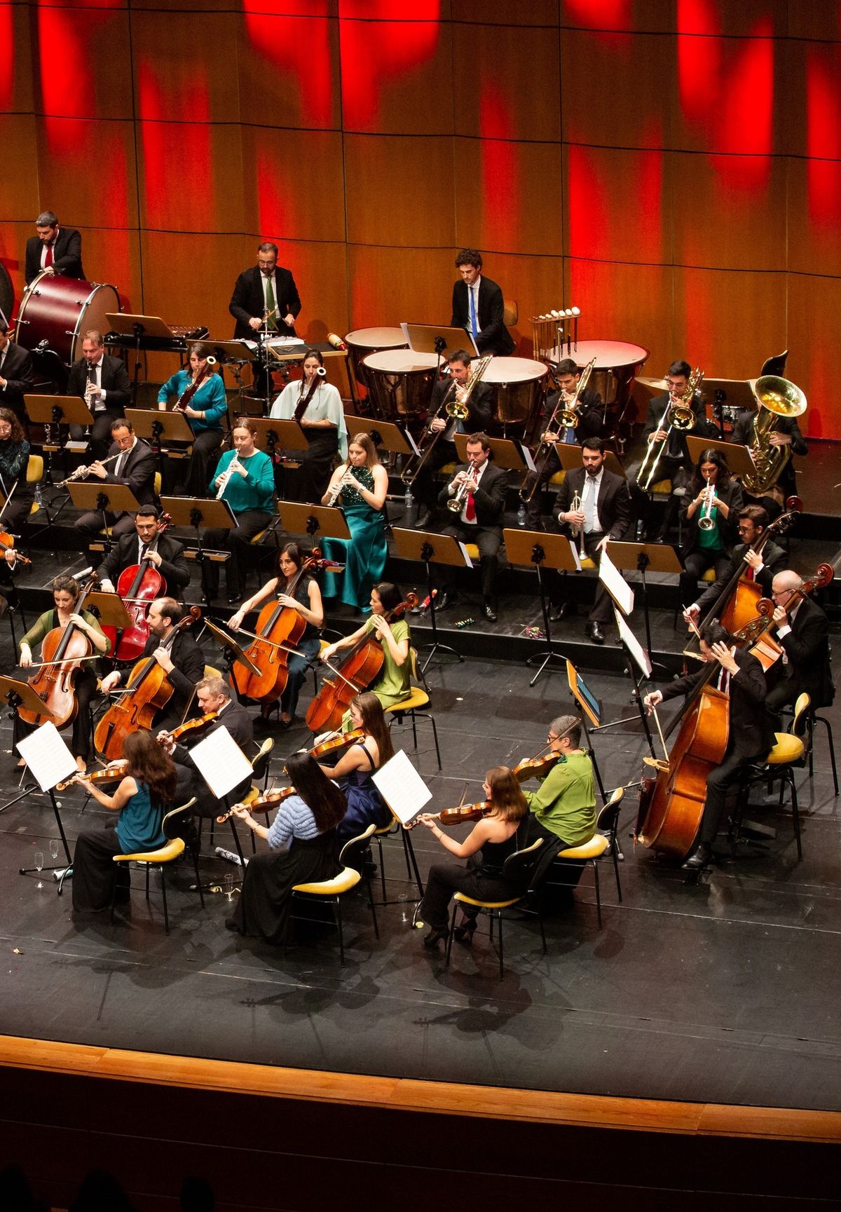 Concerto de Ano Novo | Orquestra Metropolitana de Lisboa