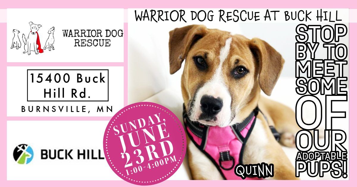 Warrior Dog Rescue at Buck Hill 