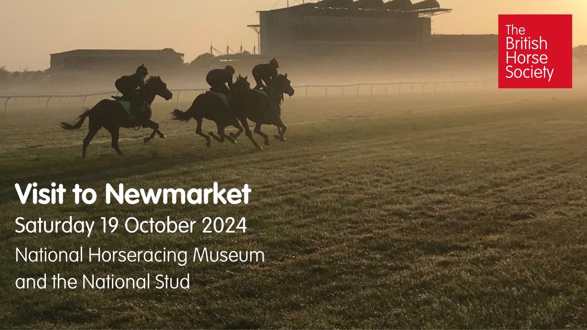 Discover Newmarket Guided Tour and Lunch