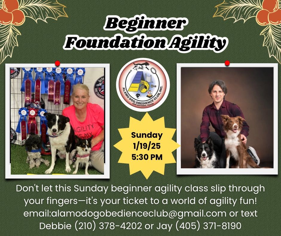  Beginner Foundation Agility Class