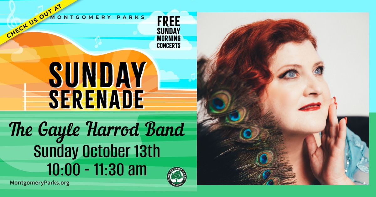 The Gayle Harrod Band at Sunday Serenades at Cabin John Park