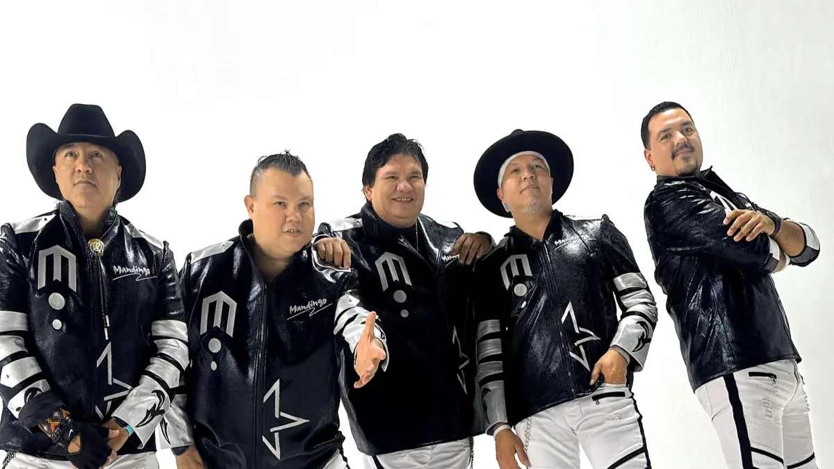 Mandingo in Chihuahua