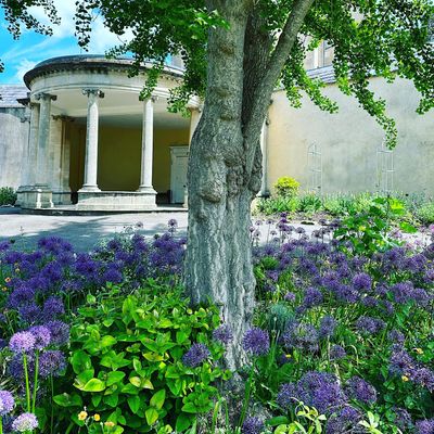 Friends of Sydney Gardens