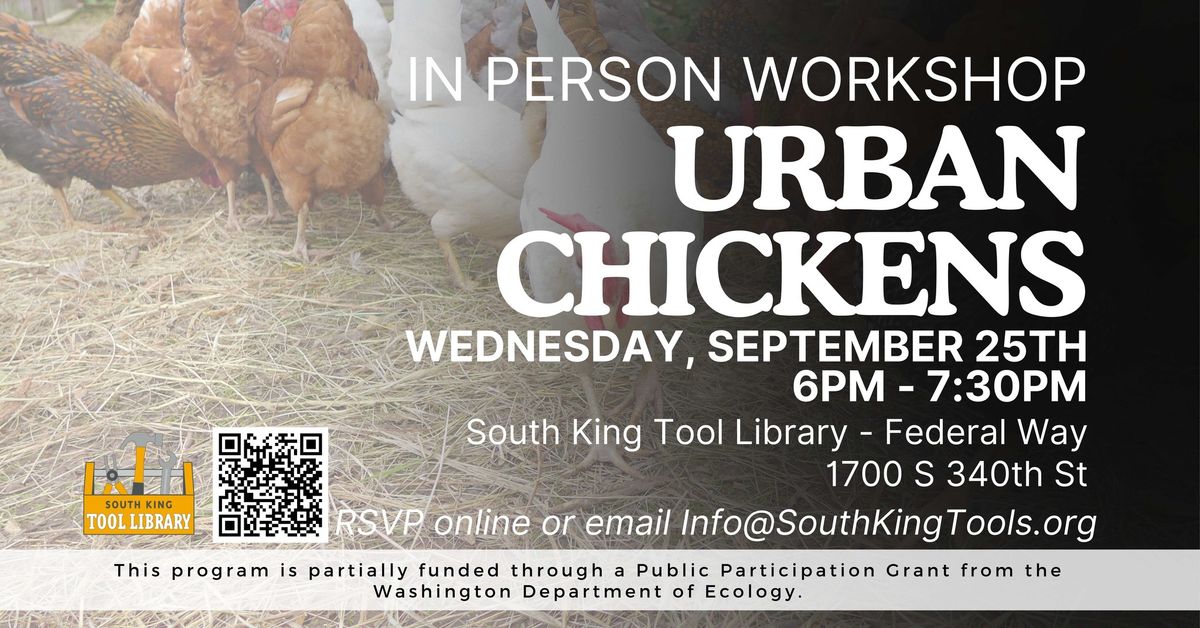 Urban Chickens