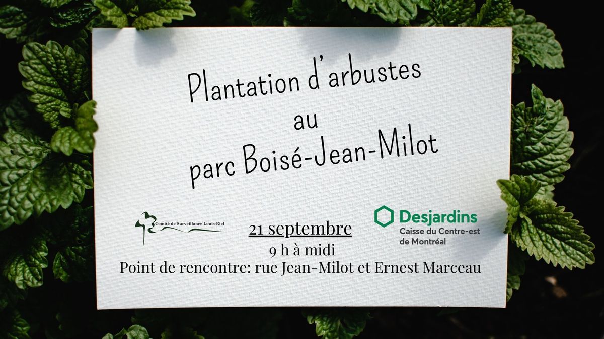 Plantation d'arbustes au parc Bois\u00e9-Jean-Milot