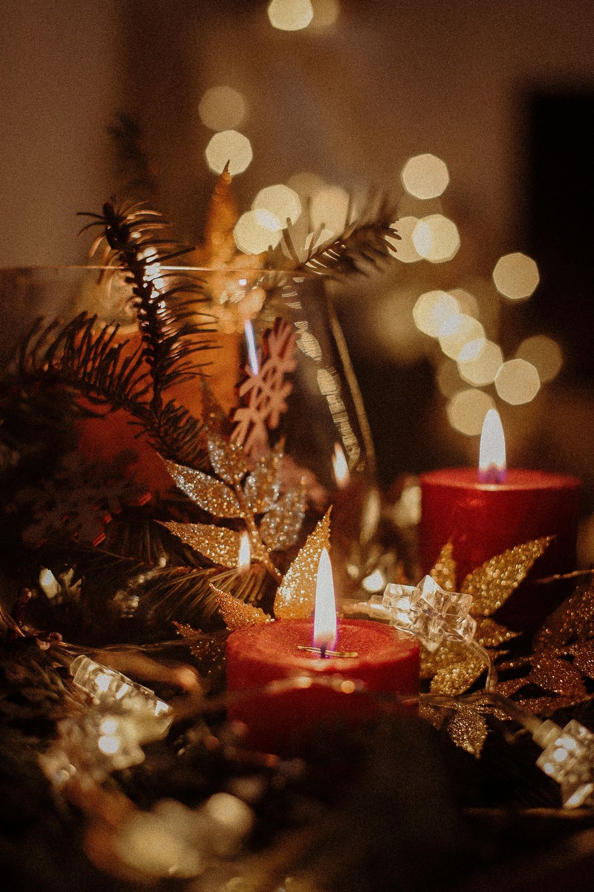 Festive Centrepiece Workshop with Jules Florist