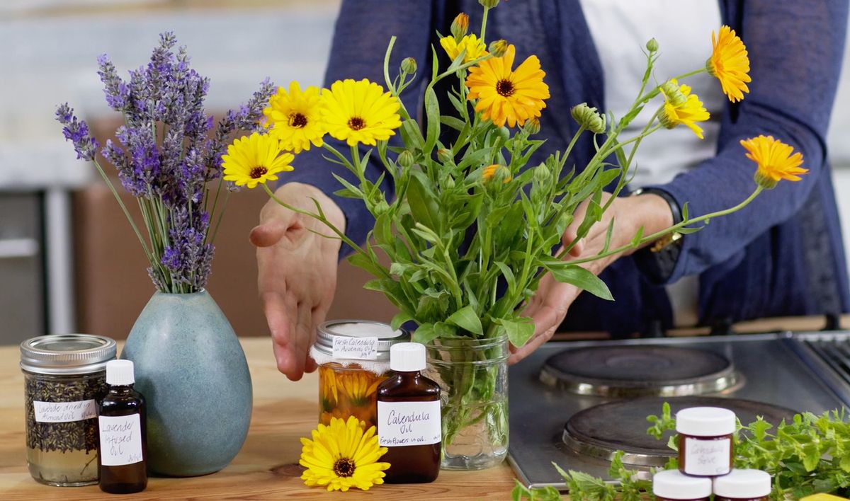 Seasonal Herbal Medicine Making Series