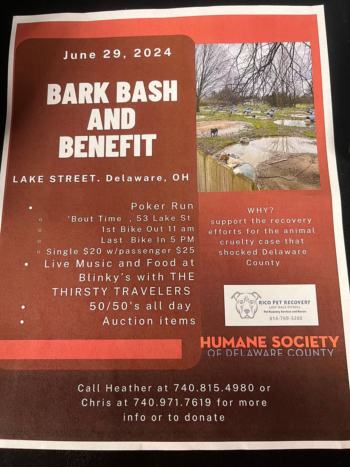 Bark Bash & Benefit