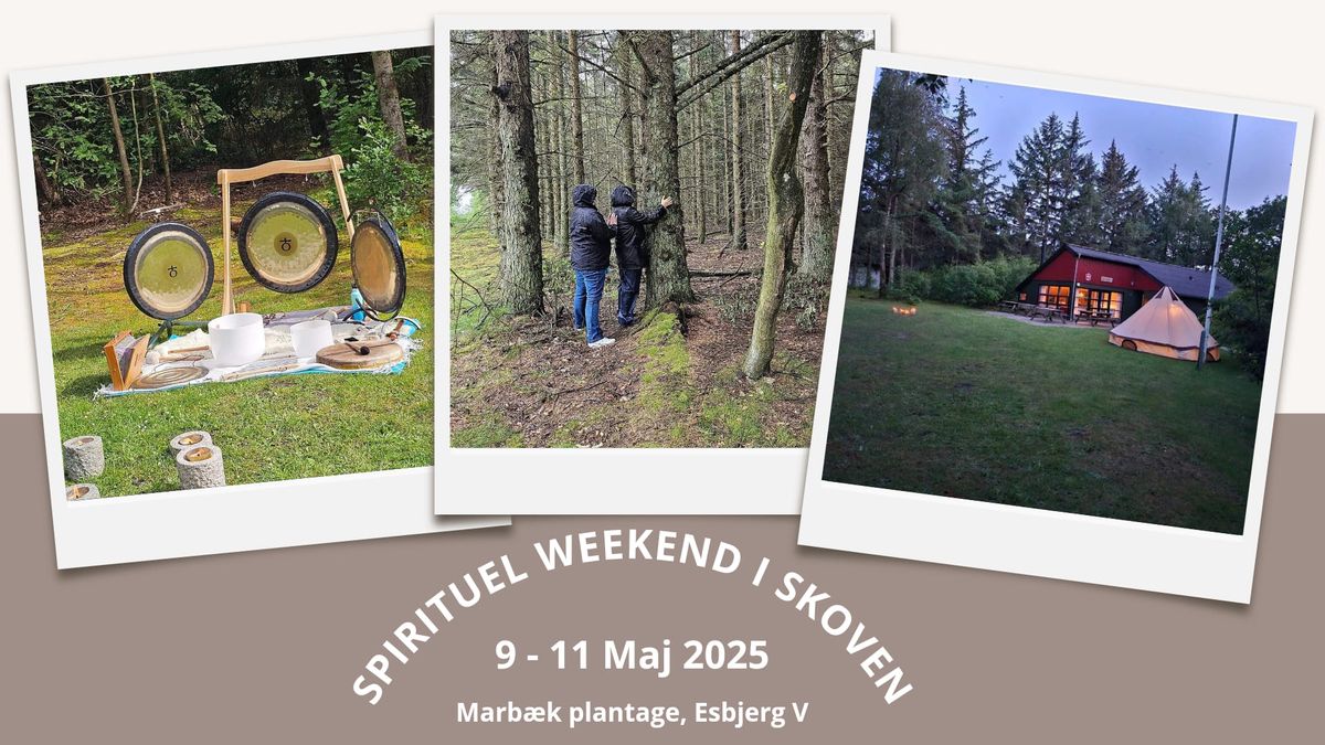 spirituel weekend i skoven 