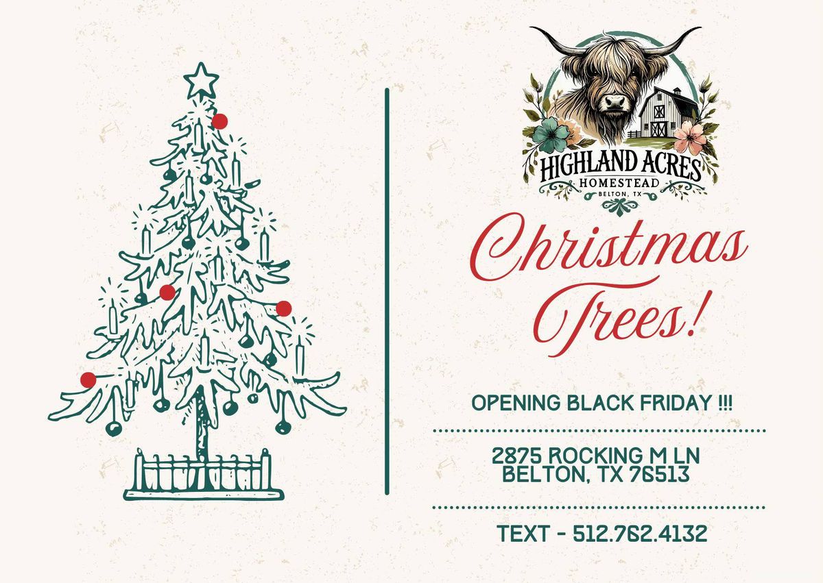 Fresh Cut Christmas Trees - Opening Weekend!