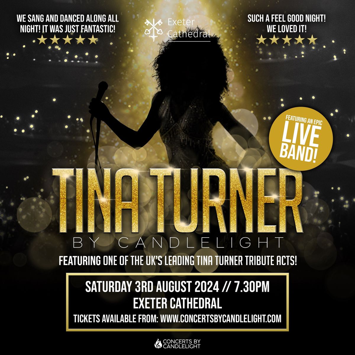 Tina Turner By Candlelight At Exeter Cathedral
