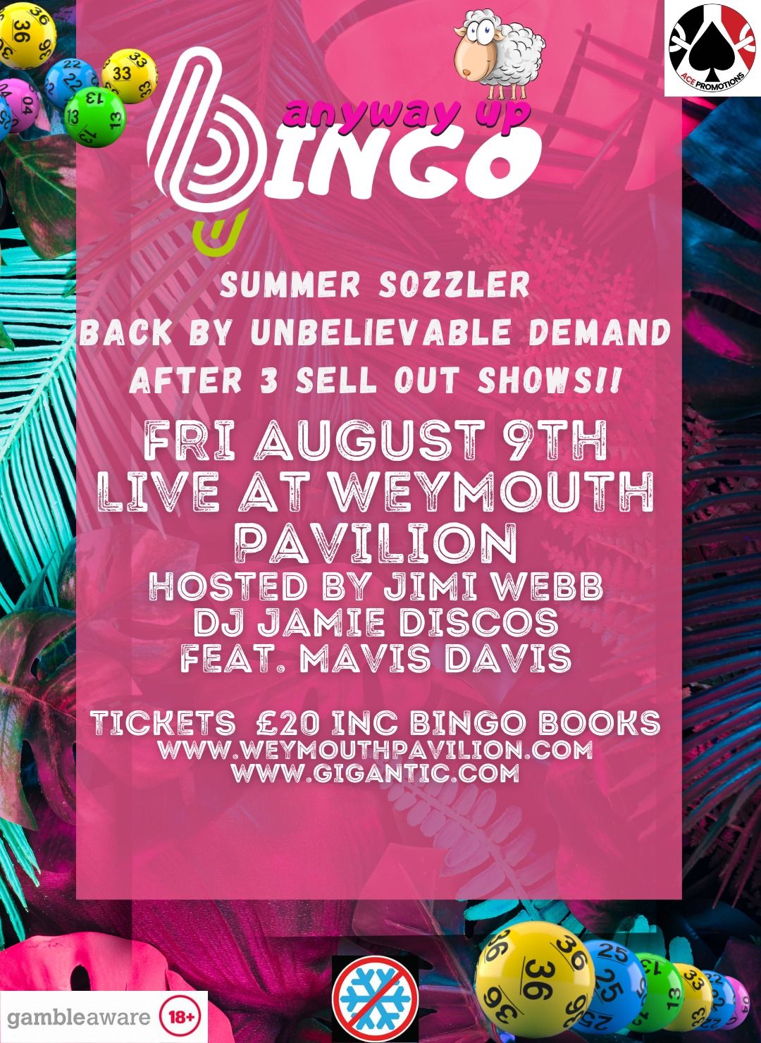 Summer Bingo Party with Anyway Up Bingo!