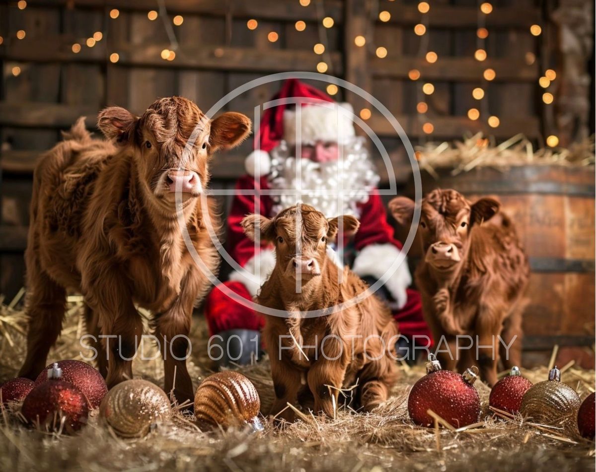 Christmas Highland Cow Minis w\/ Santa