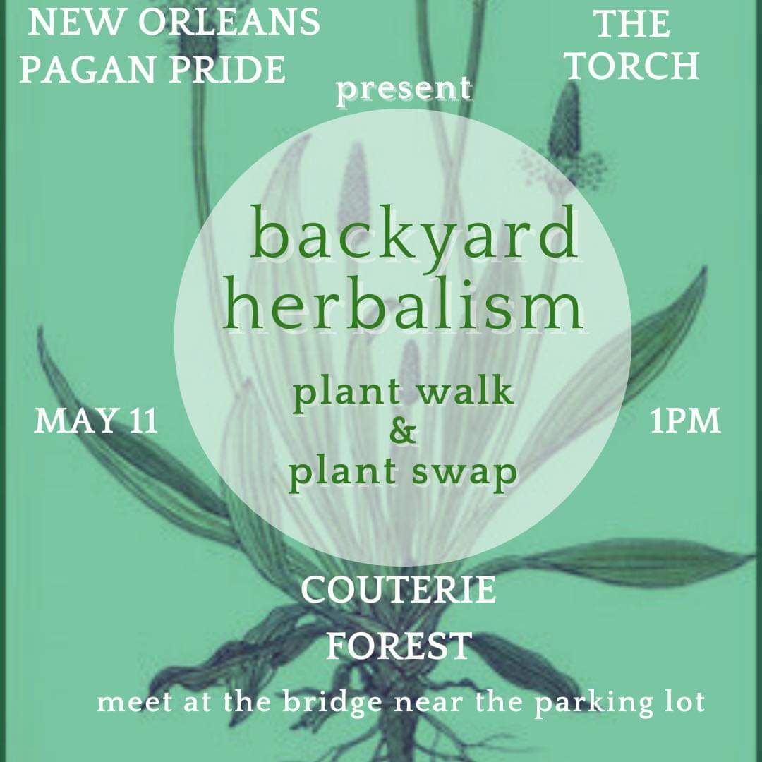 Backyard Herbalism - Plant Walk & Plant Swap