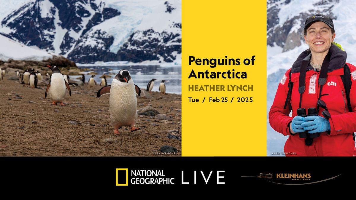 Penguins of Antarctica: Dr. Heather Lynch\uff5cNational Geographic Live