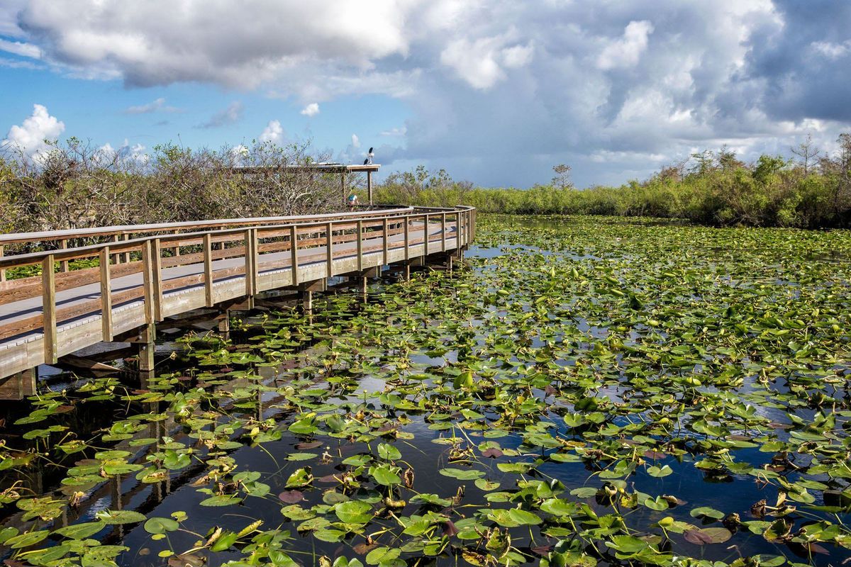 Everglades Camping Adventure