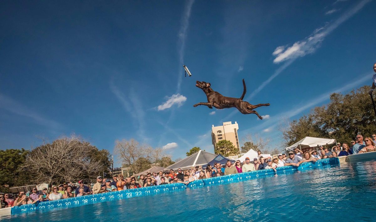 DockDogs\u00ae at Southeastern Wildlife Exposition