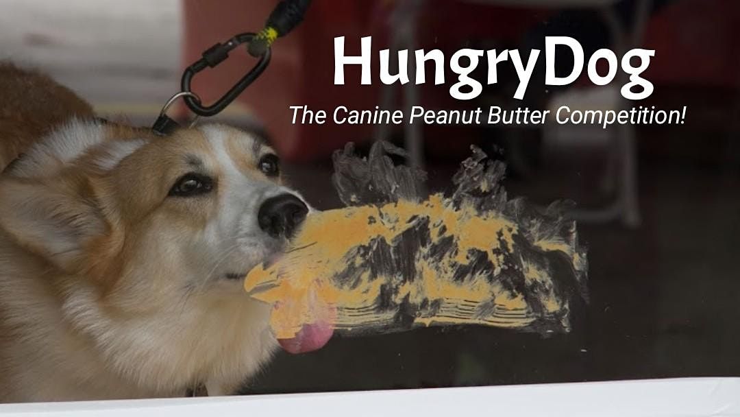 HungryDog: The Canine Peanut Butter Eating Competition!