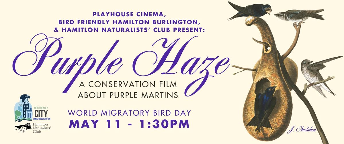 World Migratory Bird Day: PURPLE HAZE Screening