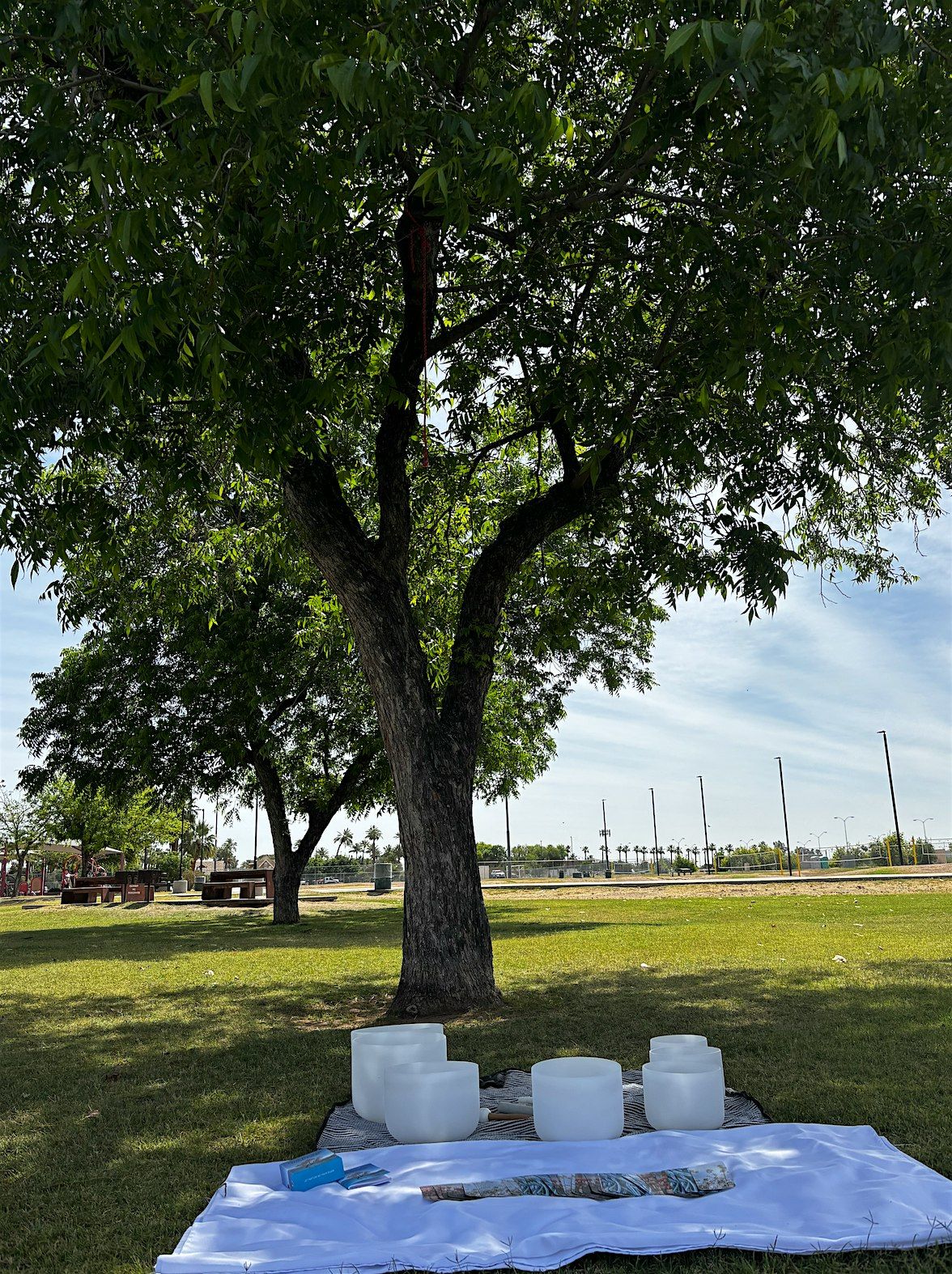 Circle Park Community Sound Bath