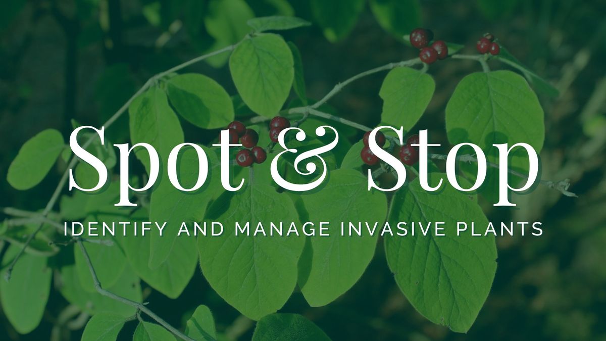 Spot & Stop: Identify and Manage Invasive Species Presented by the Vermilion County Master Gardeners