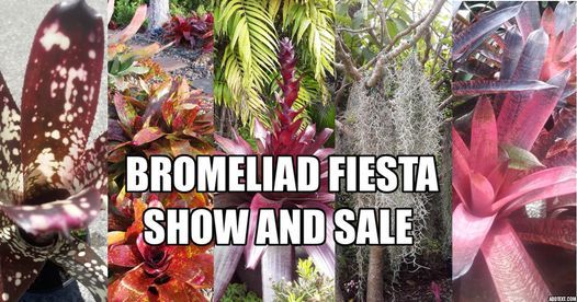 Bromeliad Show & Sale - 2022 Fiesta!