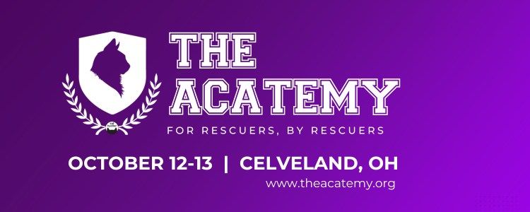 The Acatemy  '24