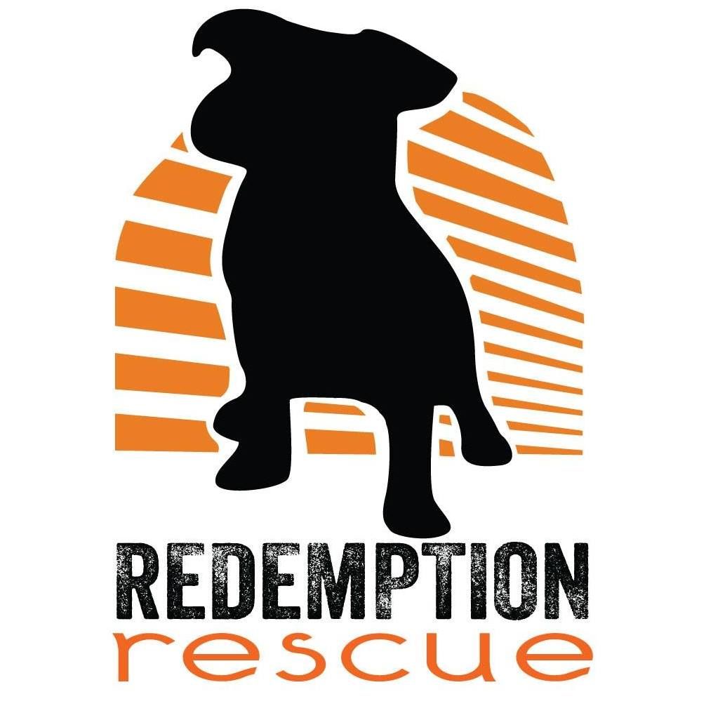 Redemption Rescue BINGO Fundraiser