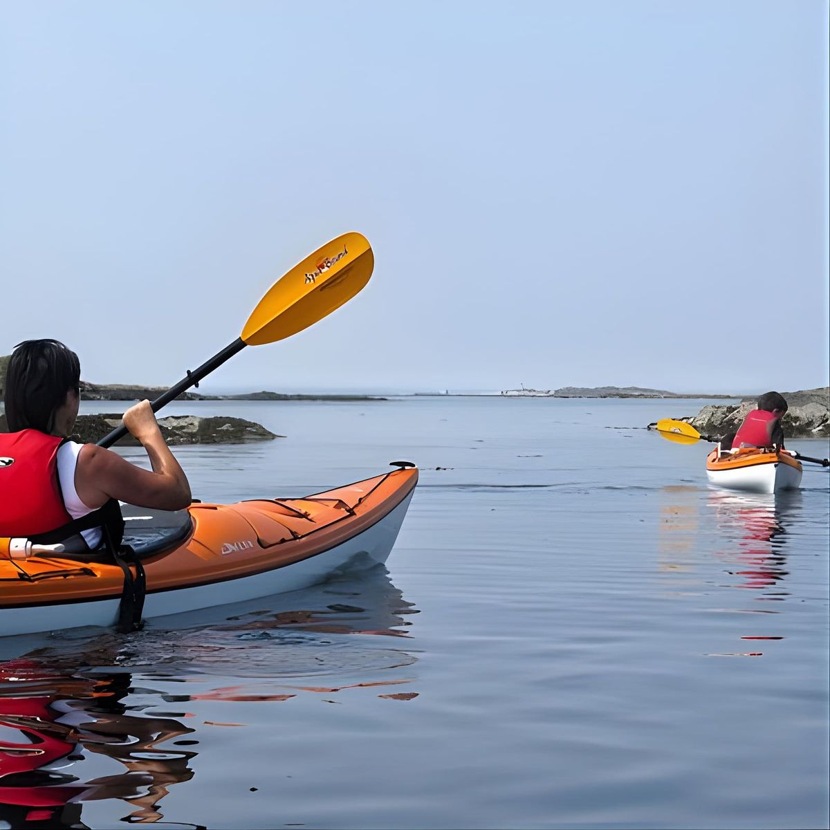 Victoria Oak Bay Shoreline Kayak Tour