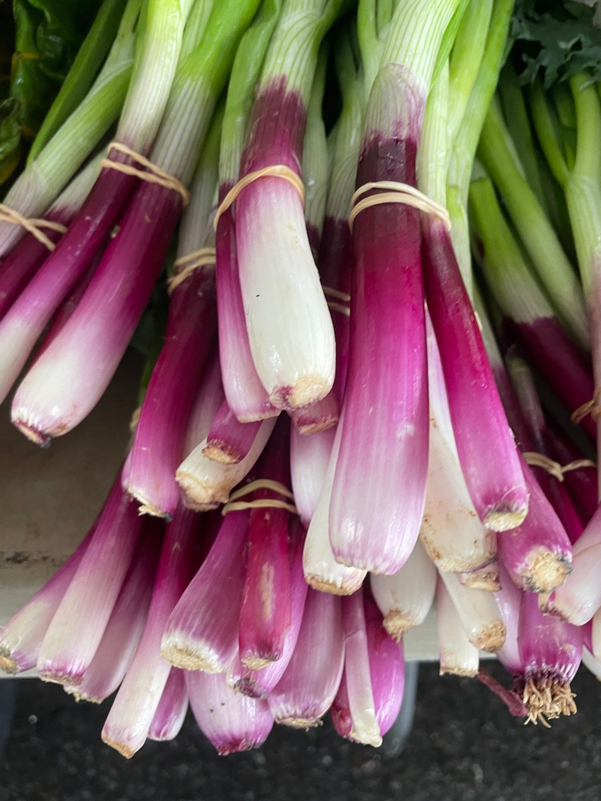 Winter Farmers Market