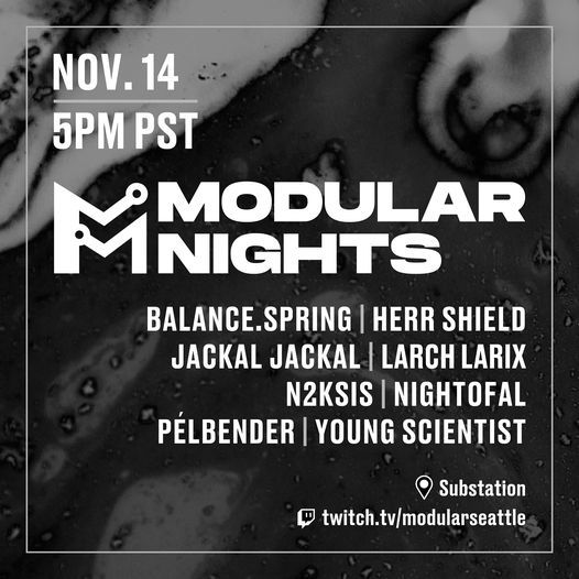 Modular Nights - November 14th @ the Substation