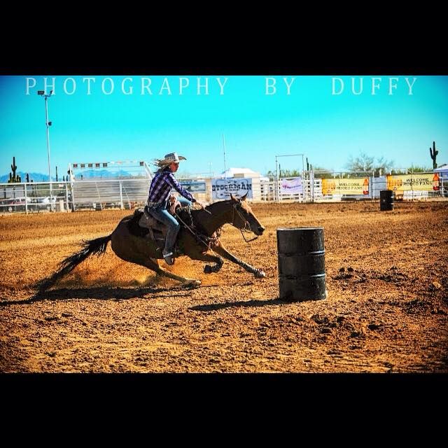 Wild Rose Northern Arizona Riding Stables Horse Obstacle Contests