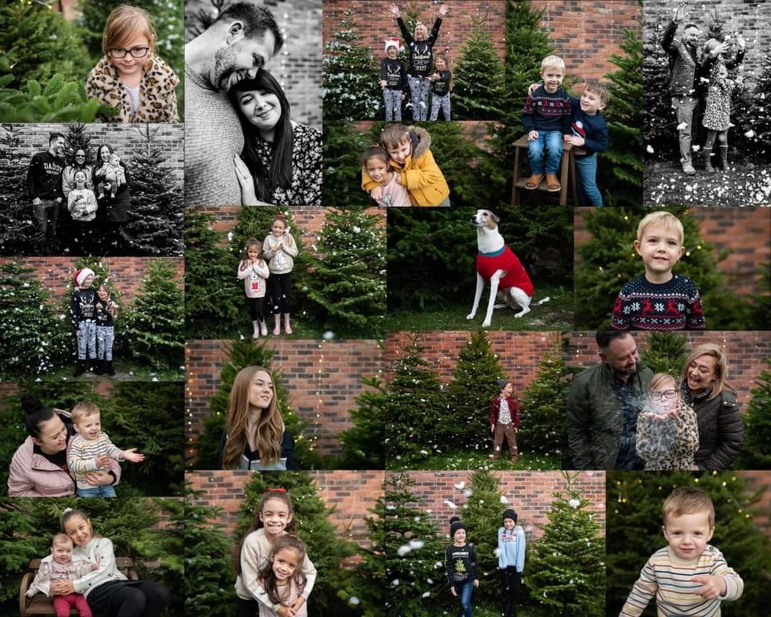 Real Christmas tree mini session 