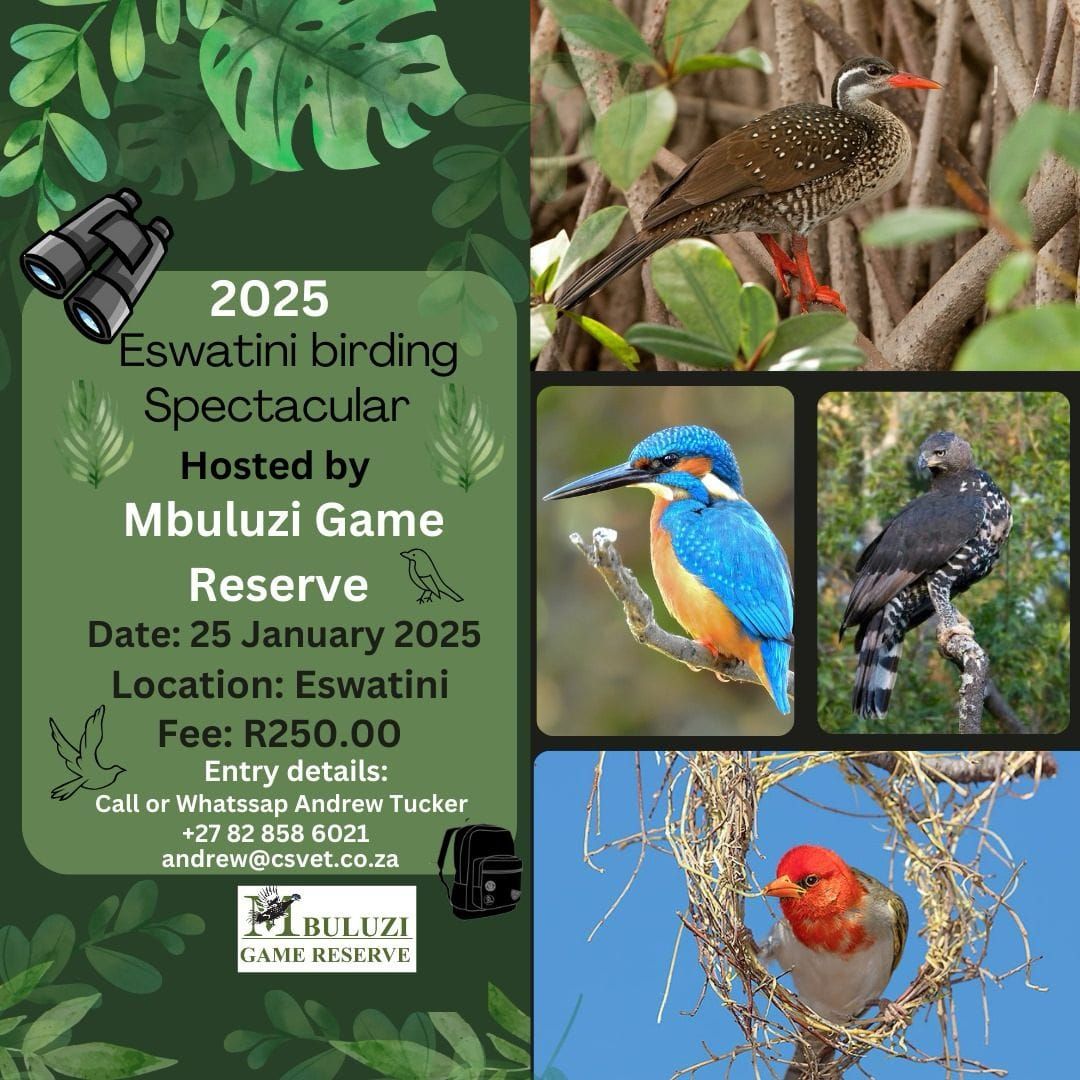 Eswatini Birding Spectacular 2025