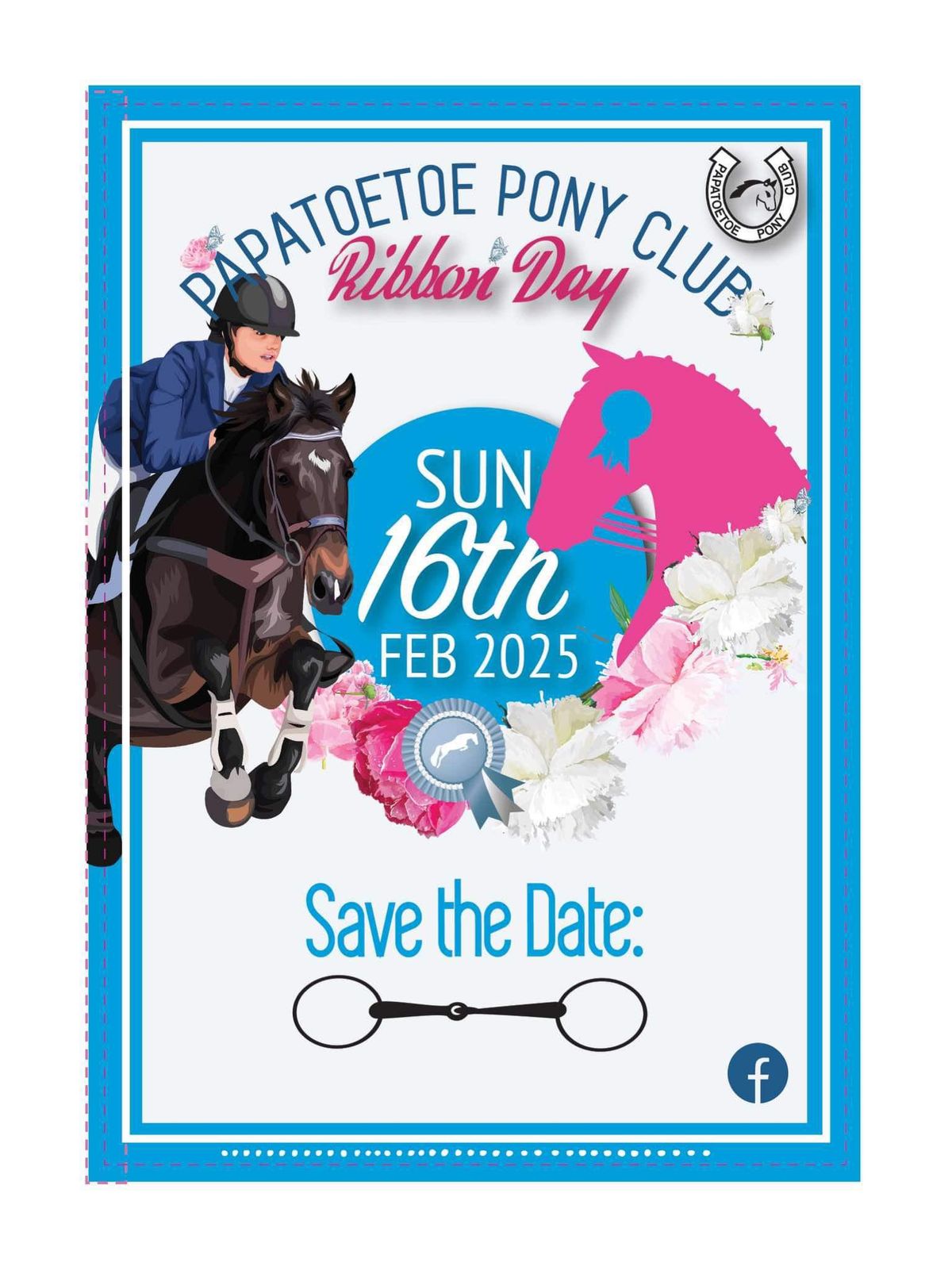 Papatoetoe Pony Club Ribbon Day 