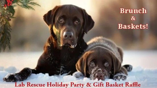 Lab Rescue LRCP 2024 End-Of-Year Party & Basket Raffle