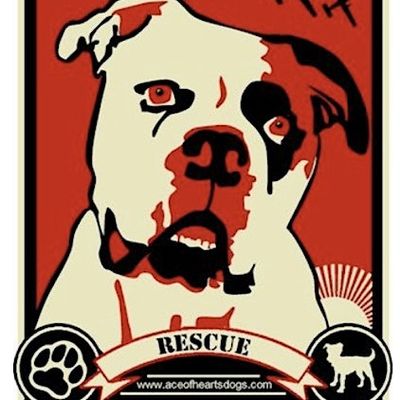 Ace of Hearts Dog Rescue