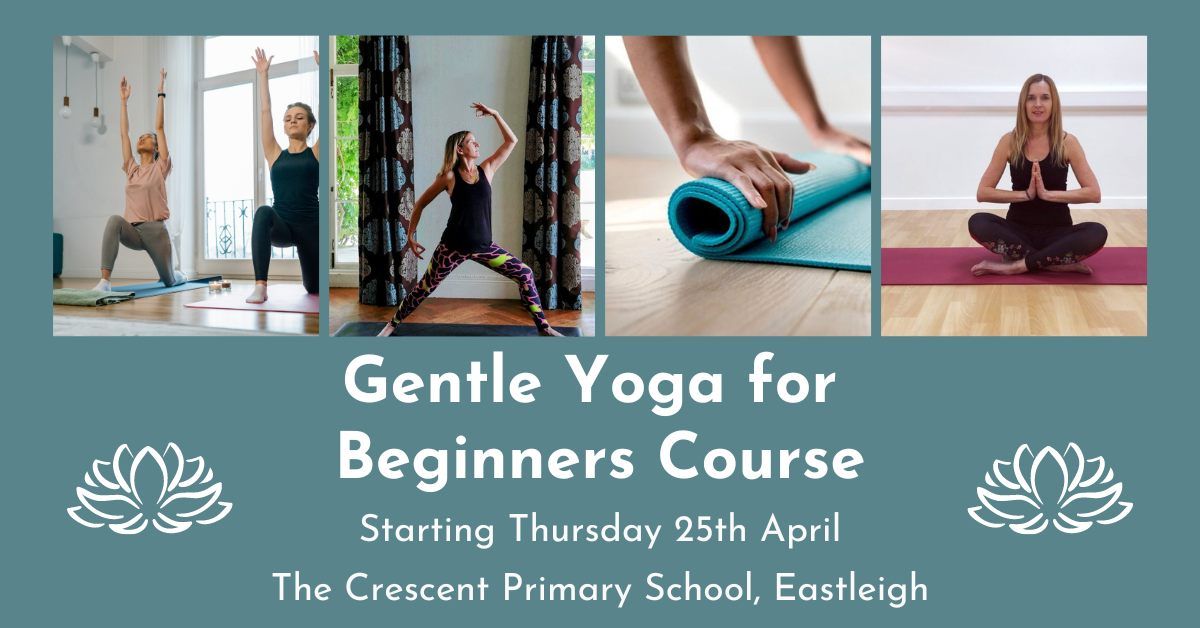 Gentle Yoga for Beginners Course
